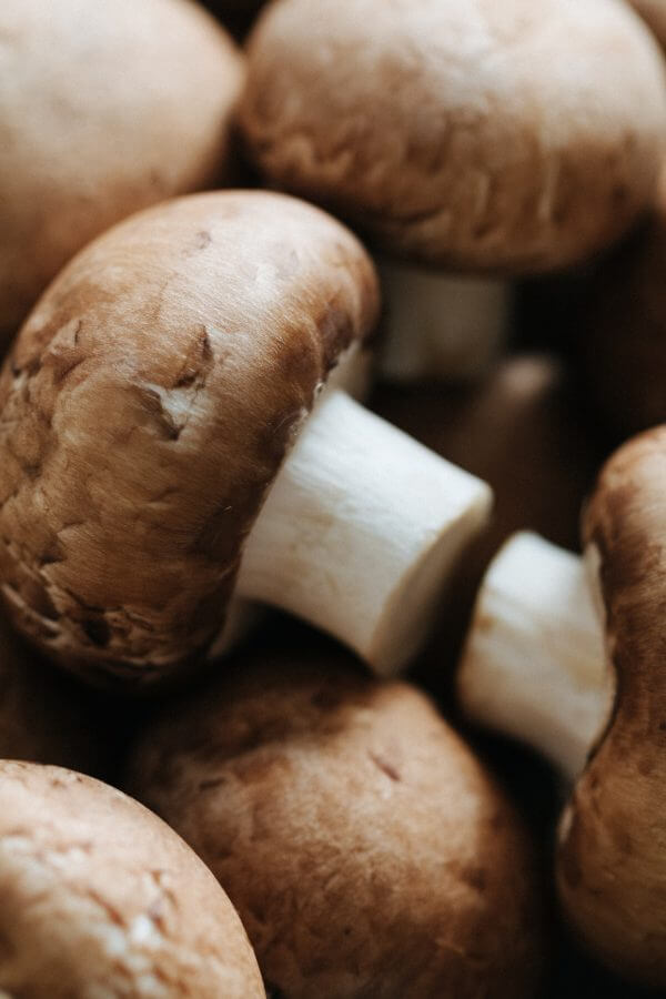 Macro shot of fresh champignons Portobello
